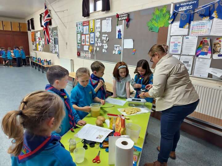 Beavers complete their International Activity Badge