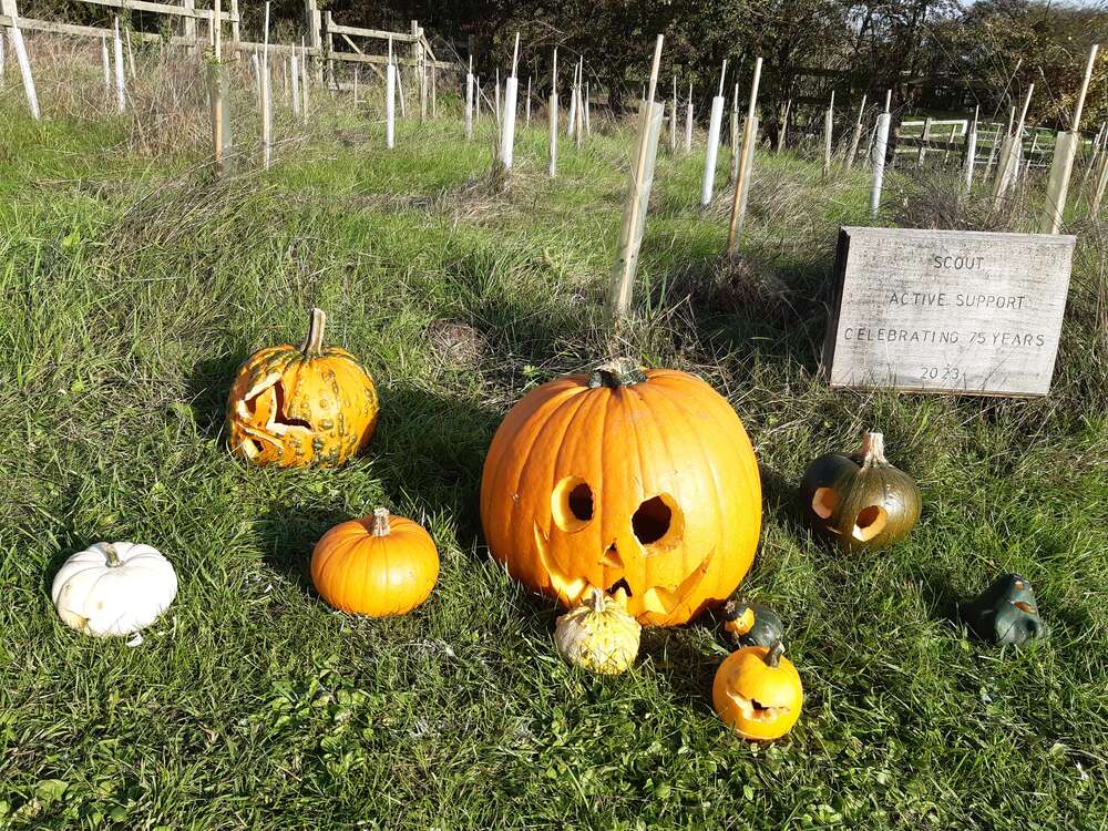 Wateringbury Scout Group Celebrates Halloween